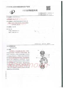 Patent Certificate (3)